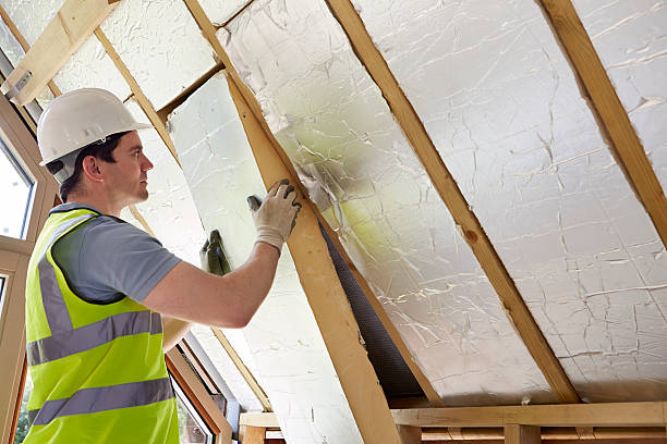 Best Spray Foam Insulation  in USA